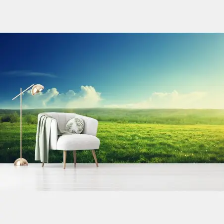 Fotomural pradera al atardecer: paisaje sereno de primavera – Pixers®
