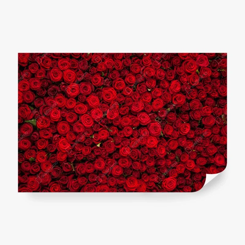Fotomural tapiz de rosas rojas
