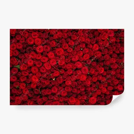 Fotomural tapiz de rosas rojas – Pixers®