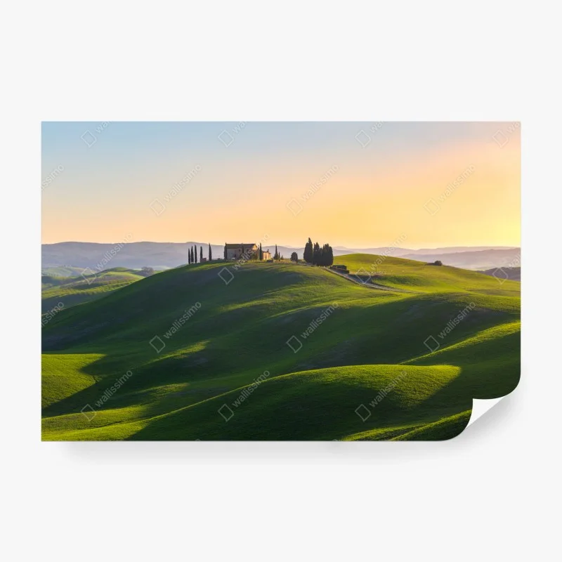 Fotomural colinas verdes de Crete Senesi en Asciano, Toscana