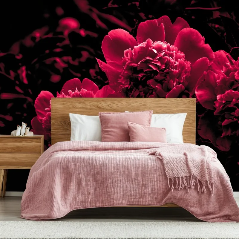 Fotomural peonías rojas en alto contraste