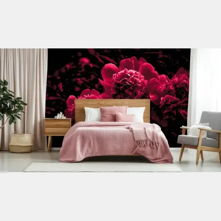 Fotomural peonías rojas en alto contraste – Pixers®