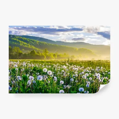 Fotomural amanecer entre dientes de león en la montaña – Pixers®