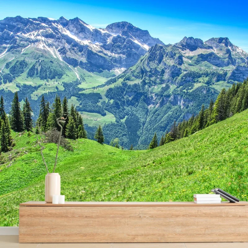Fotomural vistas panorámicas de los Alpes en Engelberg, Suiza