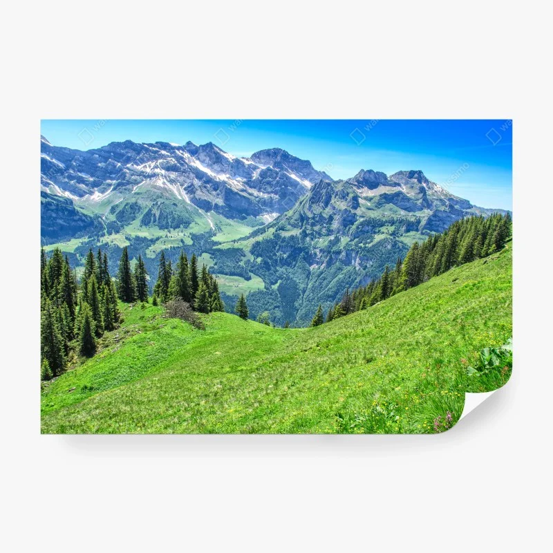 Fotomural vistas panorámicas de los Alpes en Engelberg, Suiza