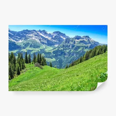 Fotomural vistas panorámicas de los Alpes en Engelberg, Suiza – Pixers®
