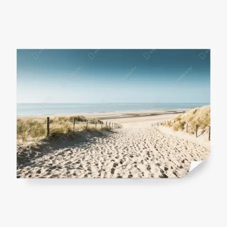 Fotomural amanecer sereno en las dunas de Noordwijk – Pixers®