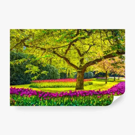 Fotomural jardín de tulipanes en Keukenhof – Pixers®