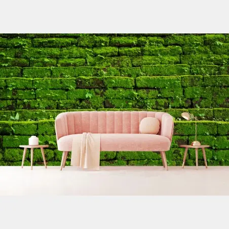 Fotomural muro verde cubierto de musgo rústico – Pixers®
