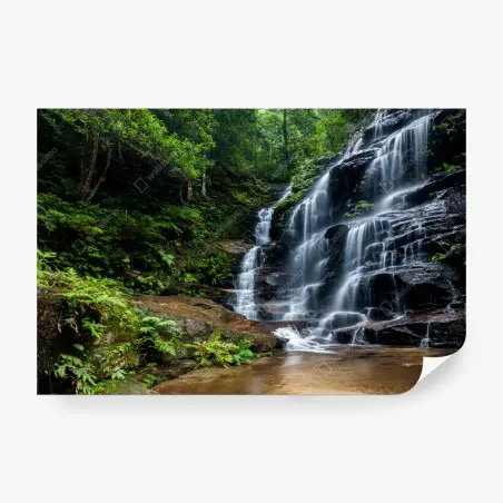 Fotomural paisaje de cascada en bosque verde – Pixers®