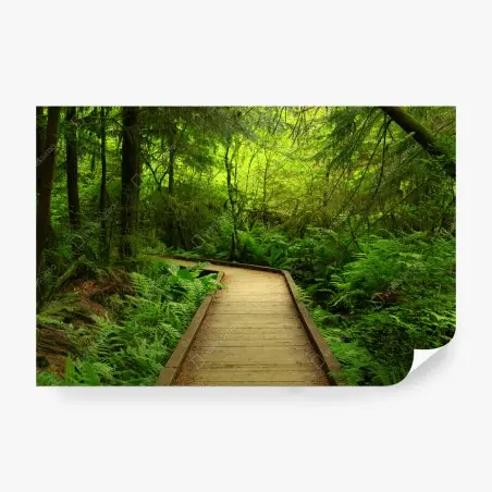 Fotomural sendero verde en bosque encantado – Pixers®