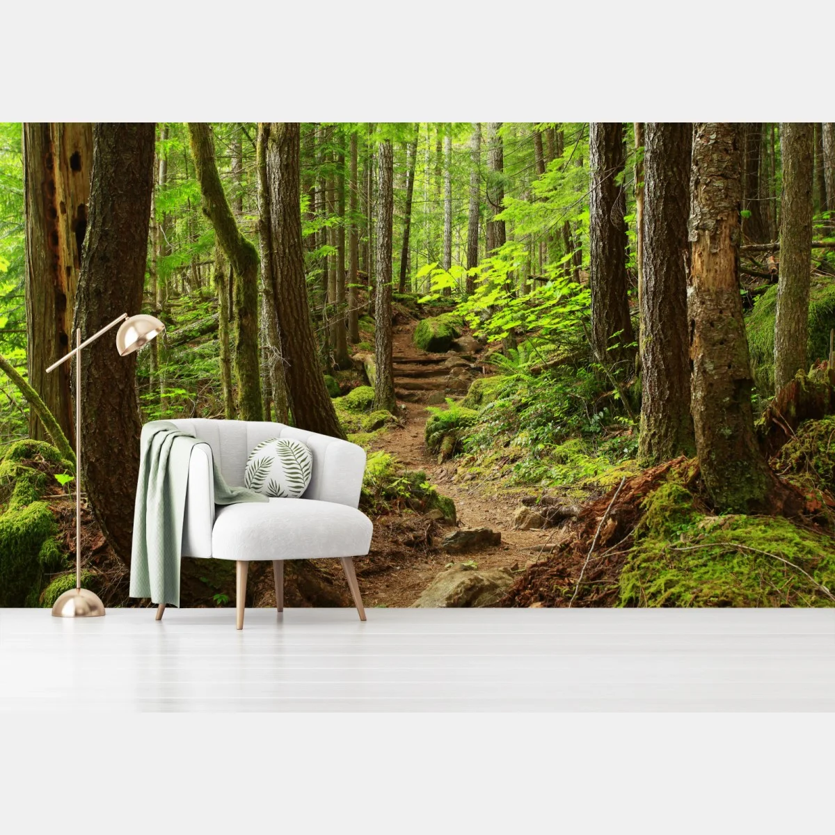Fotomural sendero en bosque esmeralda – Pixers® Fotomural sendero en bosque esmeralda – Pixers®