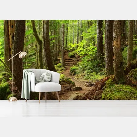 Fotomural sendero en bosque esmeralda – Pixers®