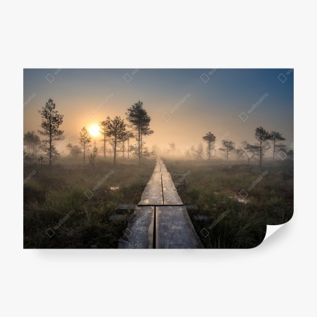 Fotomural amanecer en el sendero del pantano brumoso – Pixers®