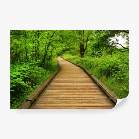 Fotomural sendero de madera entre árboles – Pixers®