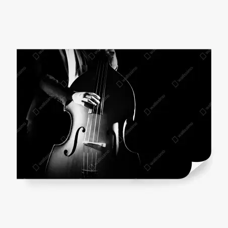 Fotomural elegancia del contrabajo en blanco y negro – Pixers®