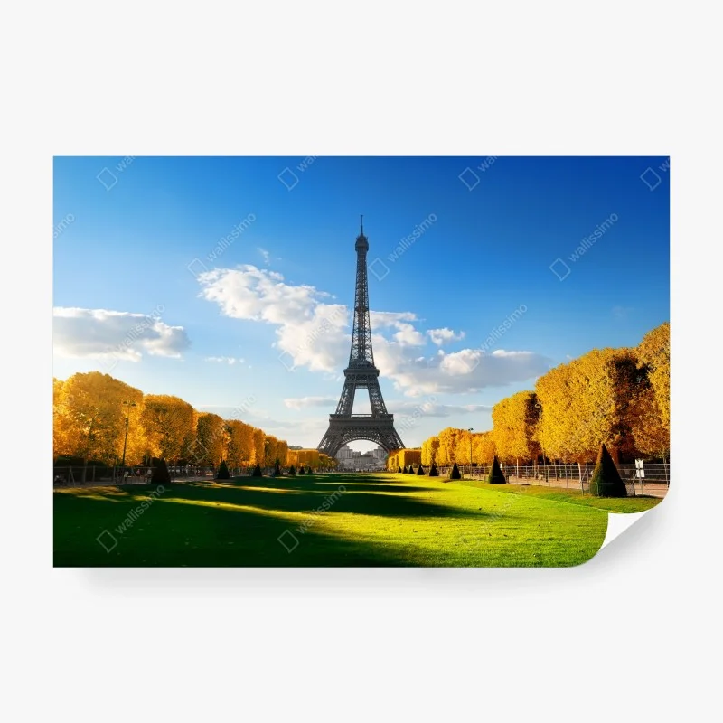 Fotomural primavera en el Champs de Mars con la Torre Eiffel, París