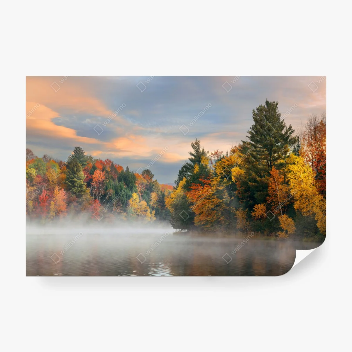 Fotomural amanecer otoñal en Stowe – Pixers® Fotomural amanecer otoñal en Stowe – Pixers®
