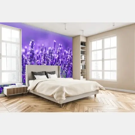 Fotomural campo de lavanda en primer plano – Pixers®
