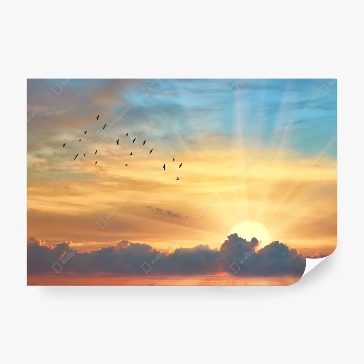 Fotomural amanecer dorado con aves en vuelo – Pixers® Fotomural amanecer dorado con aves en vuelo – Pixers®