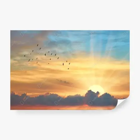 Fotomural amanecer dorado con aves en vuelo – Pixers®