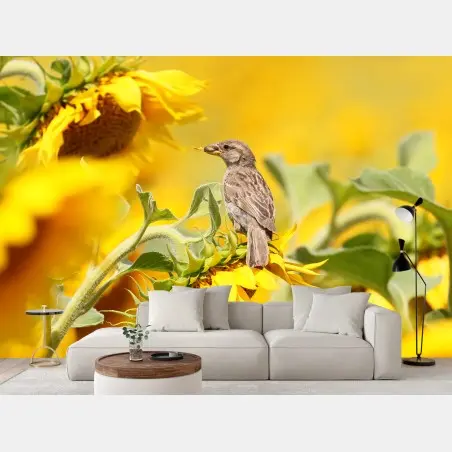 Fotomural gorrión en girasol bajo luz dorada – Pixers®