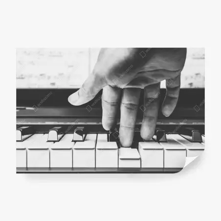 Fotomural mano tocando el piano en blanco y negro – Pixers®