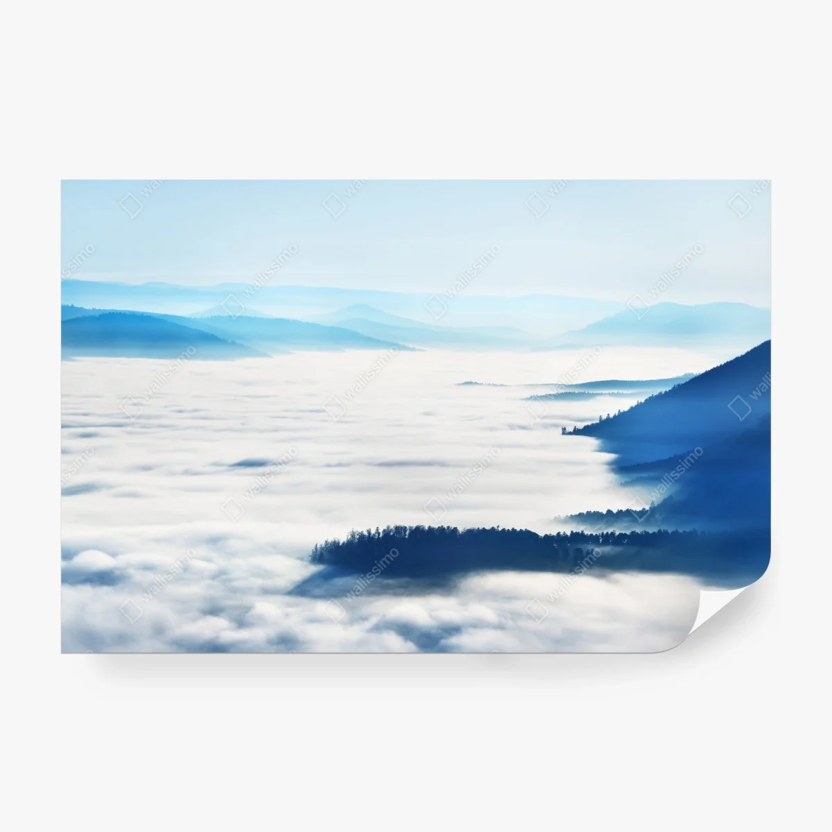 Fotomural amanecer entre nieblas en los Vosgos – Pixers® Fotomural amanecer entre nieblas en los Vosgos – Pixers®