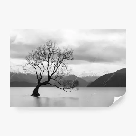 Fotomural árbol solitario en el lago – Pixers®