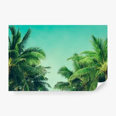 Fotomural escena tropical de palmeras y cielo turquesa – Pixers®
