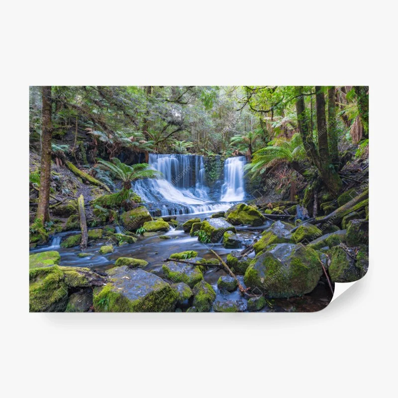 Fotomural cascada serena en bosque musgoso