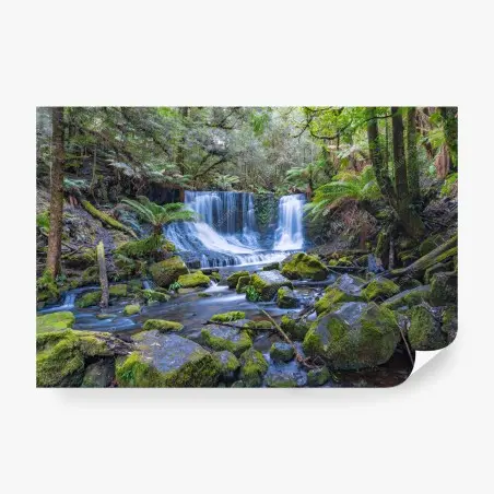 Fotomural cascada serena en bosque musgoso – Pixers®