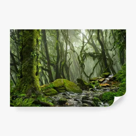 Fotomural bosque húmedo con arroyo entre rocas – Pixers®