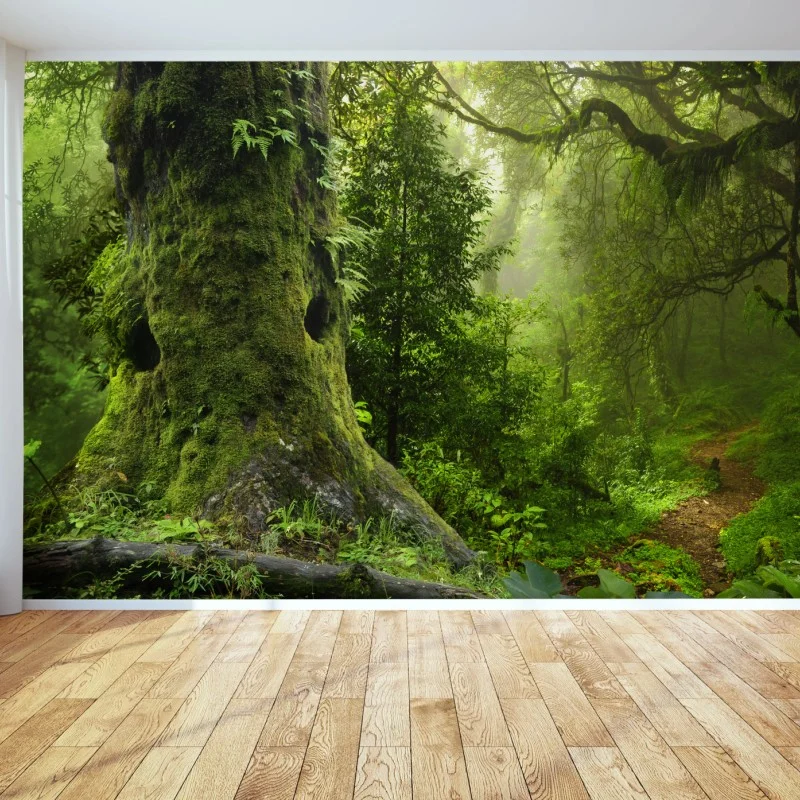 Fotomural bosque ancestral en bruma