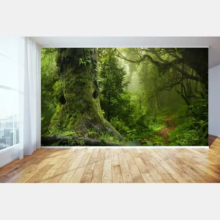 Fotomural bosque ancestral en bruma – Pixers®