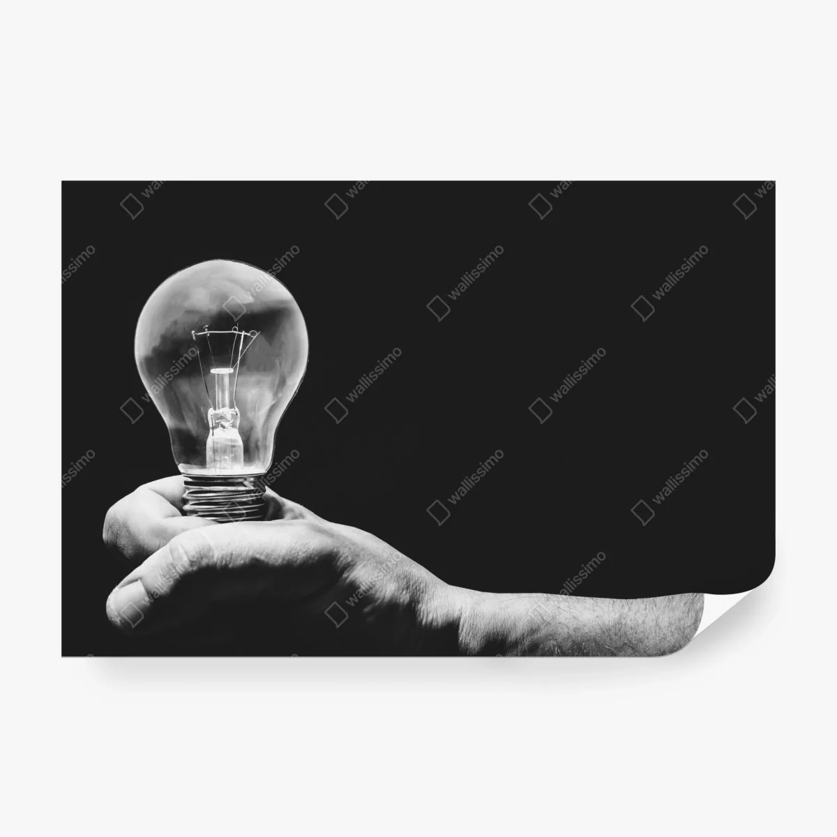 Fotomural mano sosteniendo bombilla en blanco y negro – Pixers® Fotomural mano sosteniendo bombilla en blanco y negro – Pixers®