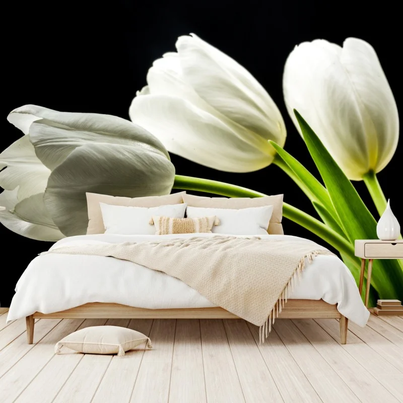 Fotomural elegancia de tulipanes blancos sobre fondo negro