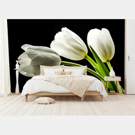Fotomural elegancia de tulipanes blancos sobre fondo negro – Pixers®