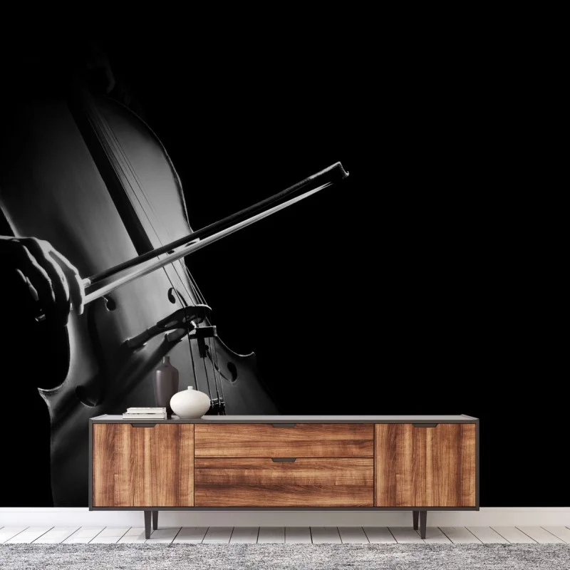 Fotomural melodía en sombras: violonchelo en primer plano
