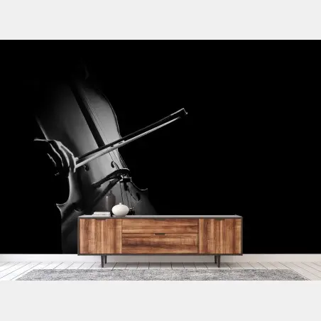 Fotomural melodía en sombras: violonchelo en primer plano – Pixers®