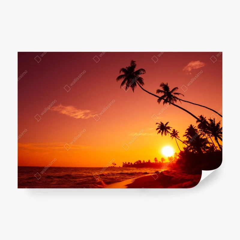 Fotomural atardecer tropical con palmeras en la costa