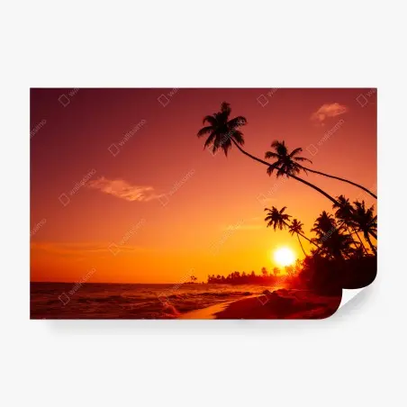 Fotomural atardecer tropical con palmeras en la costa – Pixers®