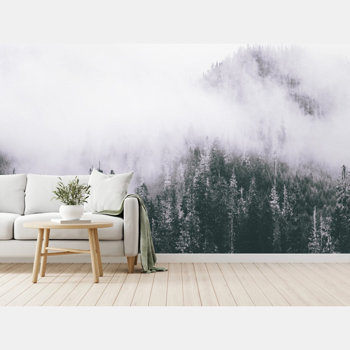 Fotomural bosque envuelto en niebla – Pixers®