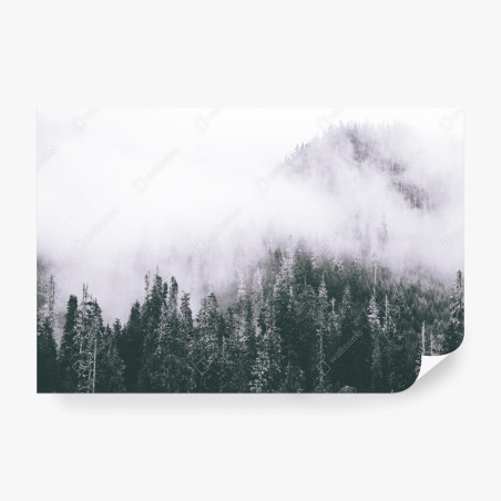 Fotomural bosque envuelto en niebla – Pixers®