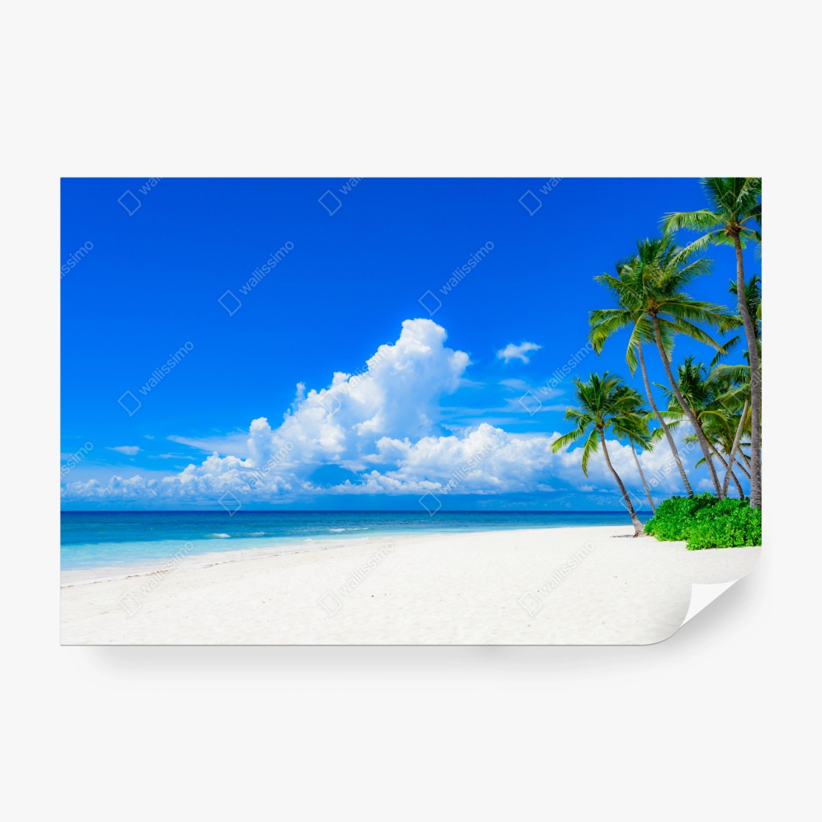 Fotomural paraíso tropical de palmeras en la playa – Pixers®