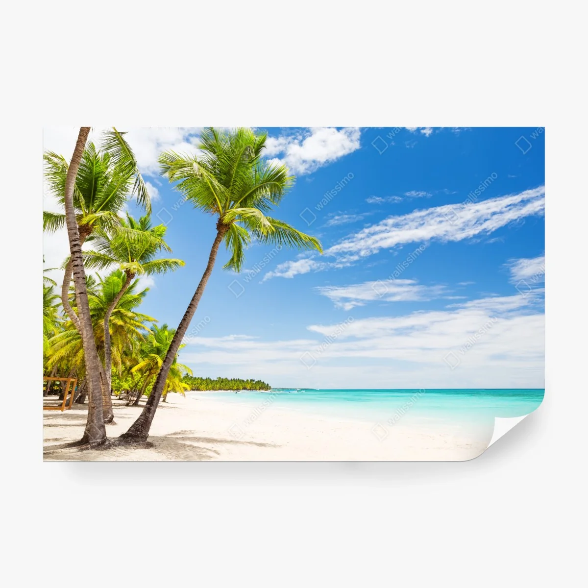 Fotomural paraíso tropical en Punta Cana – Pixers®