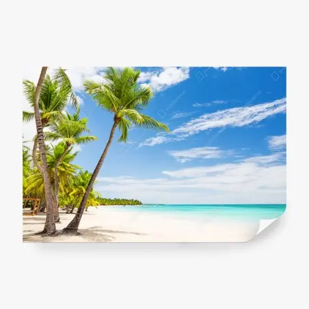 Fotomural paraíso tropical en Punta Cana – Pixers®