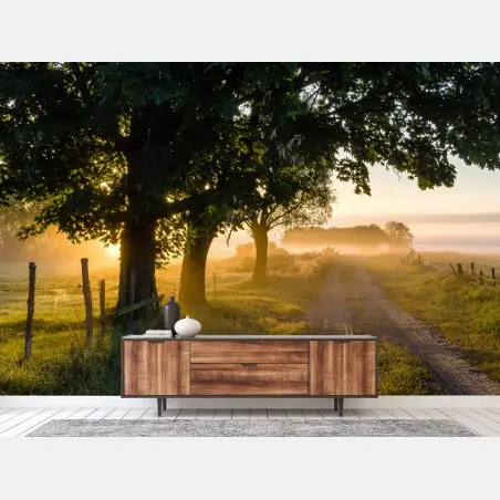 Fotomural amanecer en el camino rural entre árboles – Pixers®