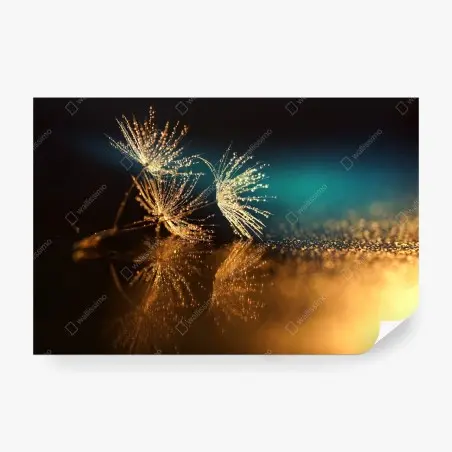 Fotomural reflejo dorado de semillas de diente de león – Pixers®