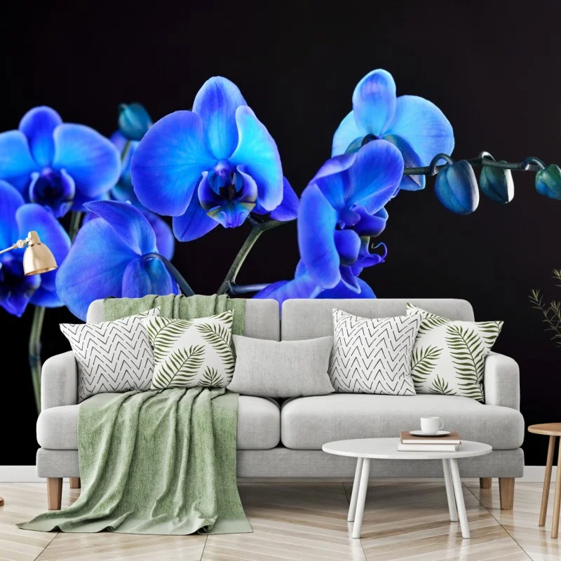 Fotomural orquídea azul sobre fondo negro
